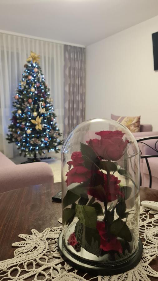Apartament Violeta Gura Humorului Zewnętrze zdjęcie