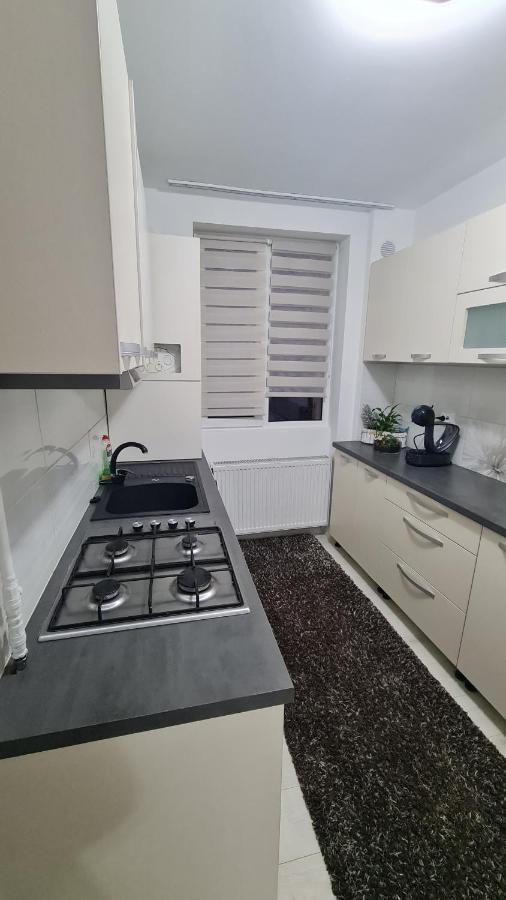 Apartament Violeta Gura Humorului Zewnętrze zdjęcie