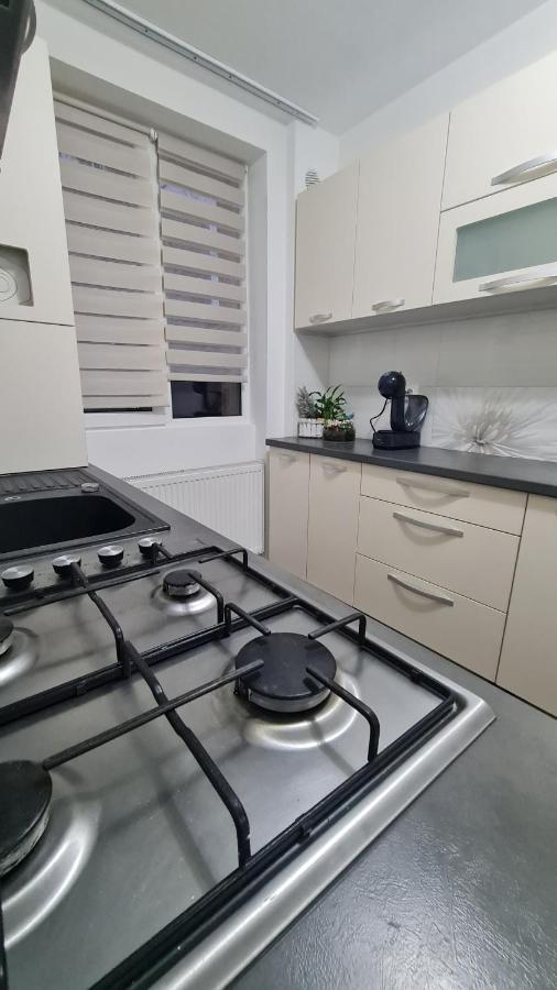 Apartament Violeta Gura Humorului Zewnętrze zdjęcie